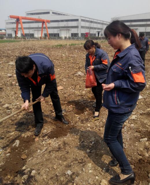 凯能采购部播种